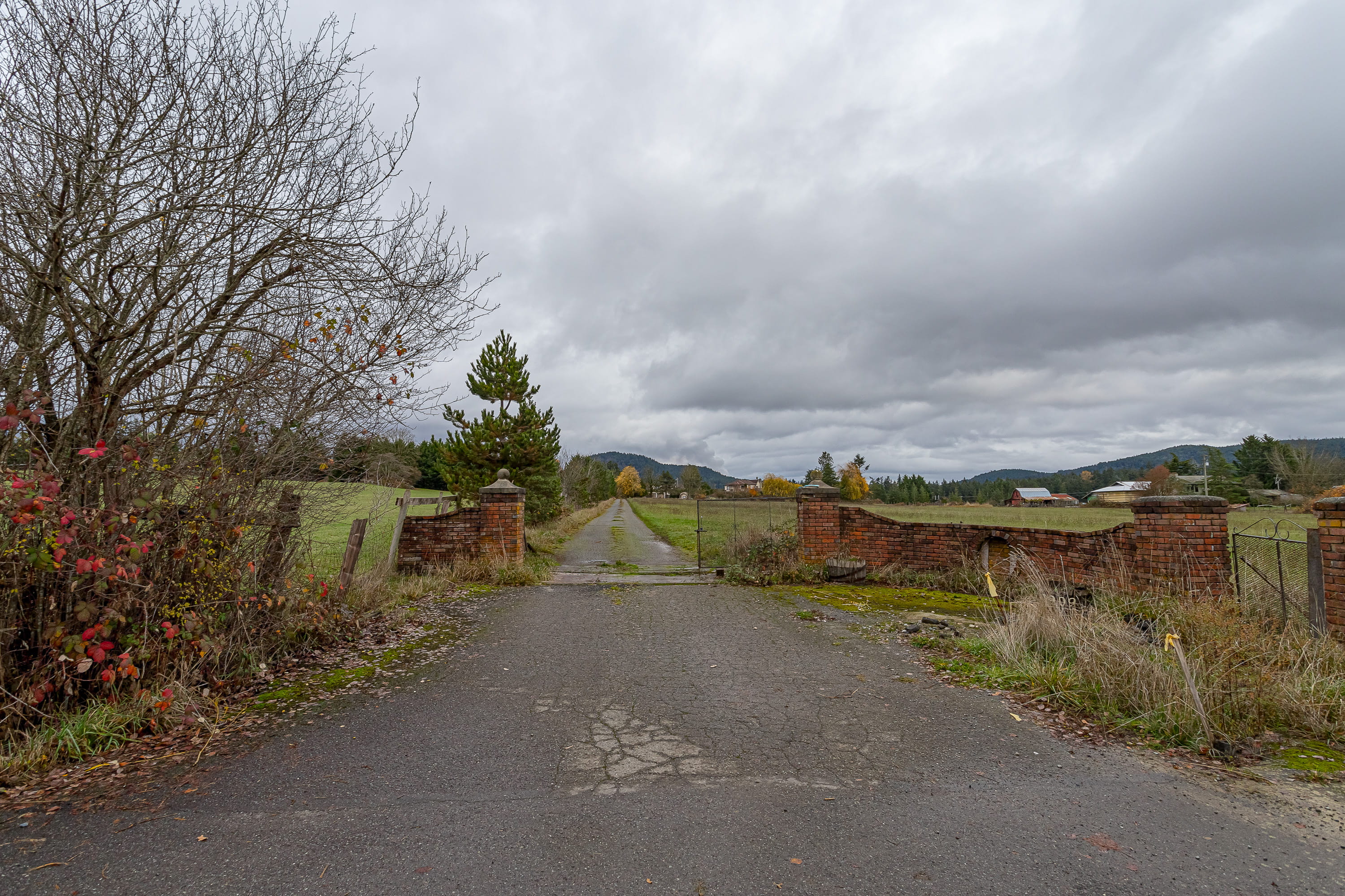 1909 Stamps Road, North Cowichan, British Columbia  V9L 5W1 - Photo 8 - 1020667