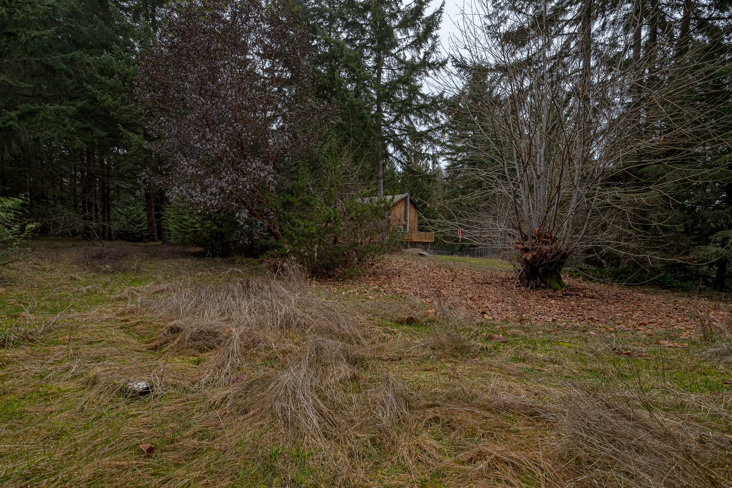 3723 Bayne Road, Cobble Hill, British Columbia  V8H 0J7 - Photo 37 - 1026656
