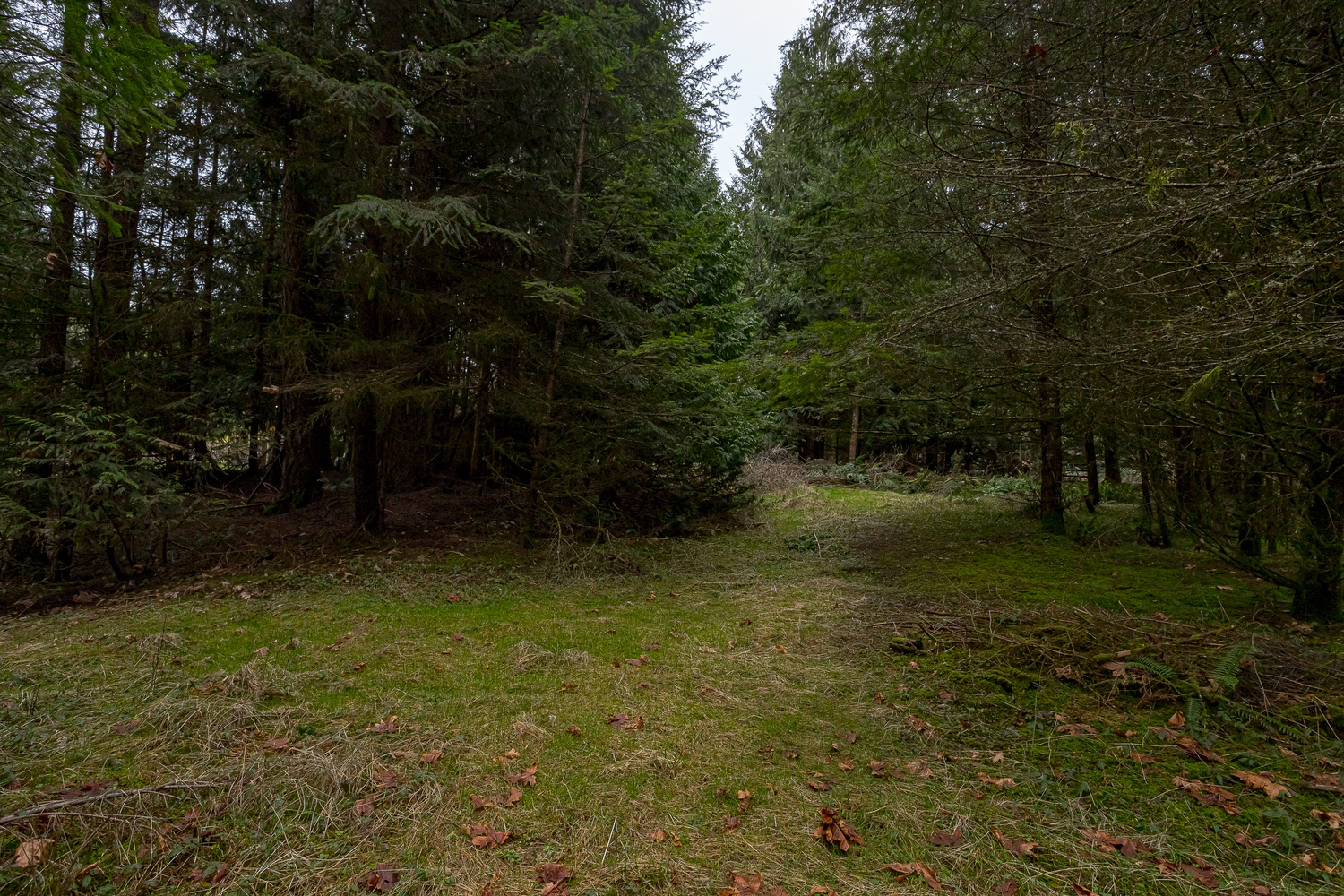 3723 Bayne Road, Cobble Hill, British Columbia  V8H 0J7 - Photo 38 - 1026656