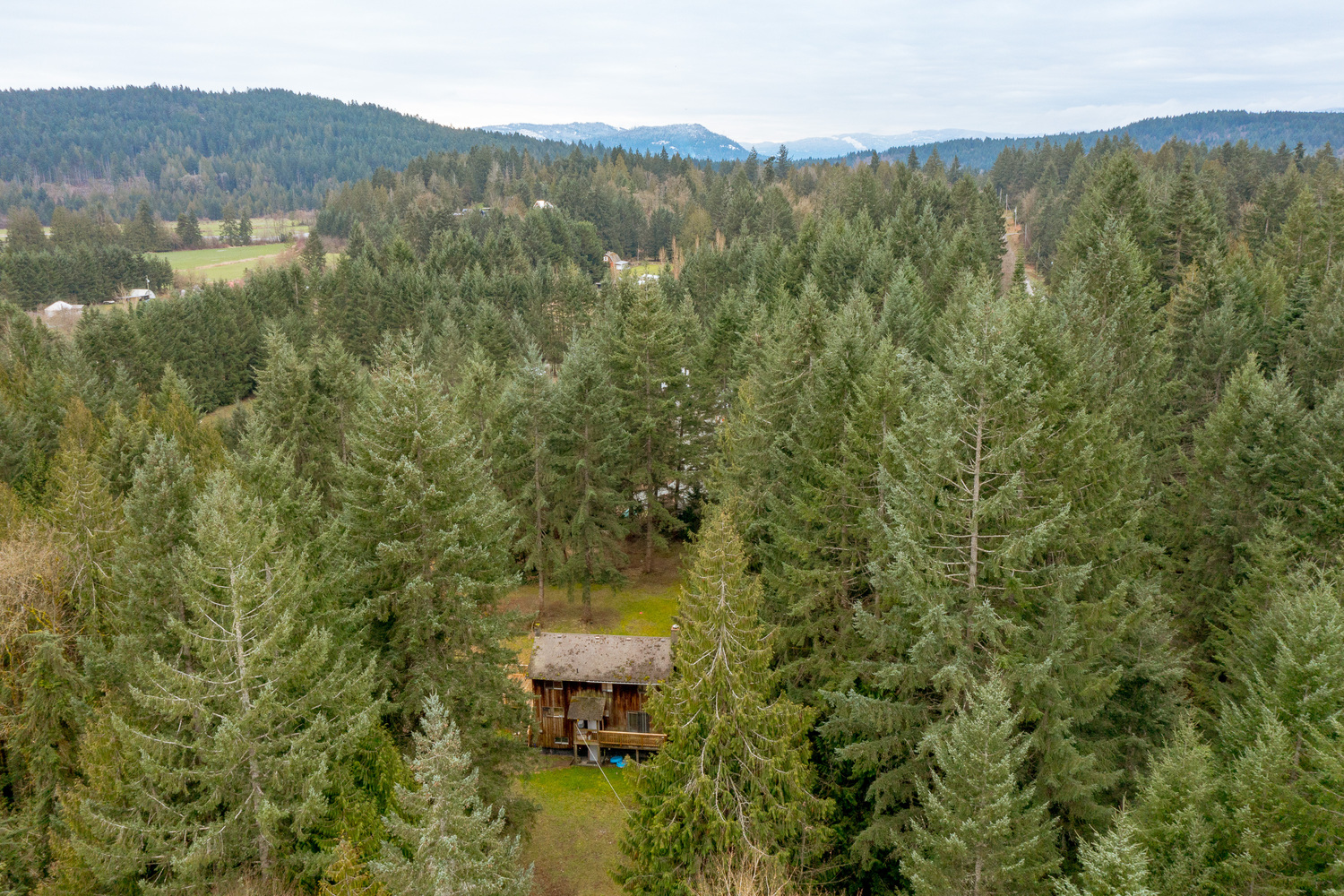 3723 Bayne Road, Cobble Hill, British Columbia  V8H 0J7 - Photo 43 - 1026656