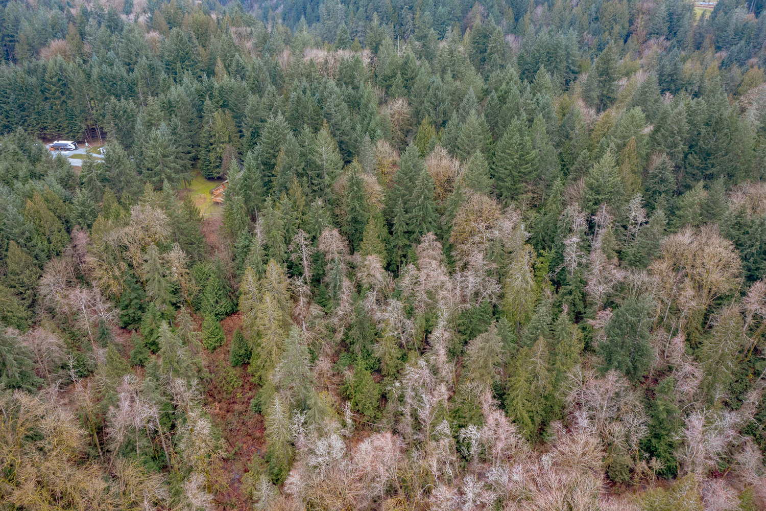 3723 Bayne Road, Cobble Hill, British Columbia  V8H 0J7 - Photo 46 - 1026656