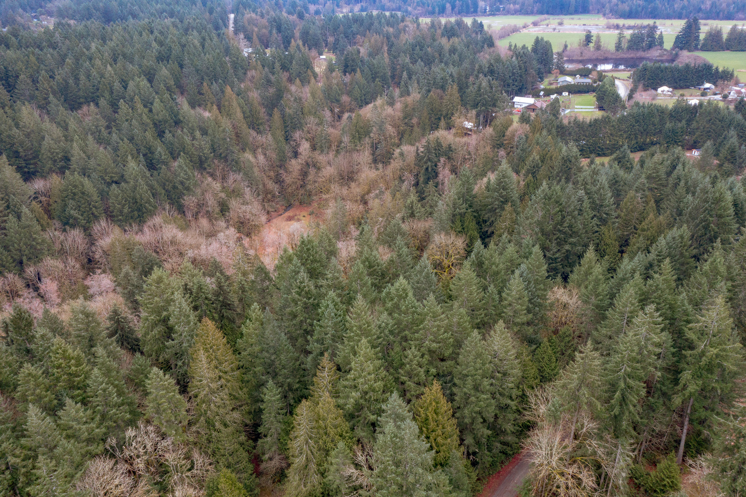 3723 Bayne Road, Cobble Hill, British Columbia  V8H 0J7 - Photo 47 - 1026656